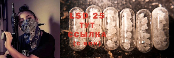 стаф Володарск