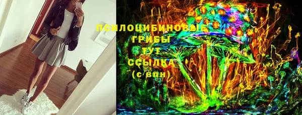 гидра Вязники