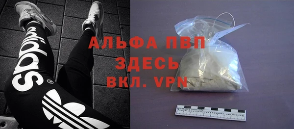 стаф Володарск