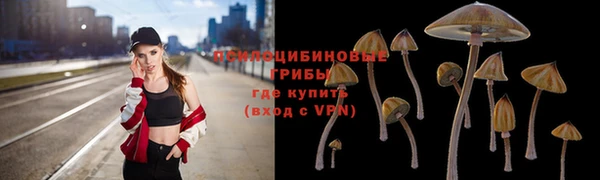 mdpv Вязьма