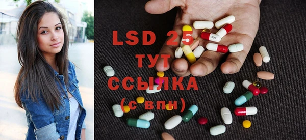 гидра Вязники