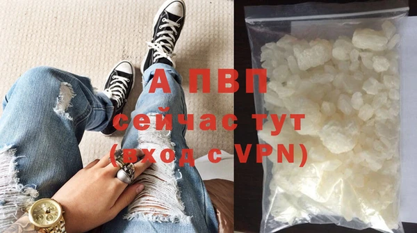стаф Володарск