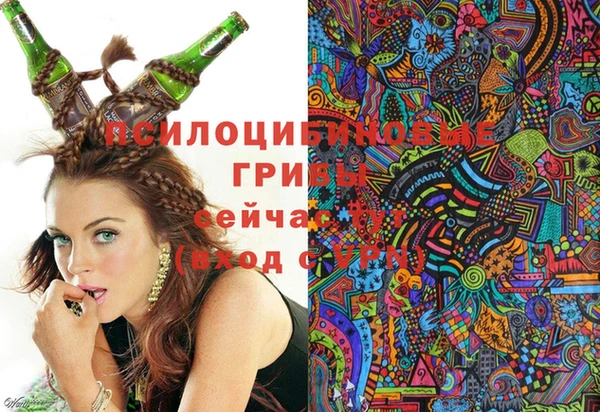 гидра Вязники