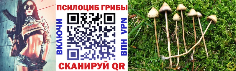Галлюциногенные грибы мицелий  Изобильный 